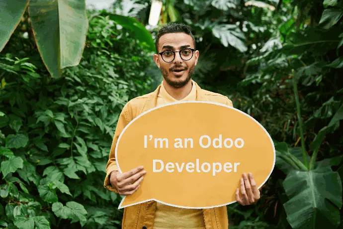 Odoo Developers